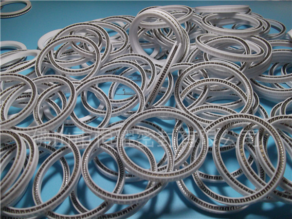 HOA、HVA軸用泛塞封 (2)