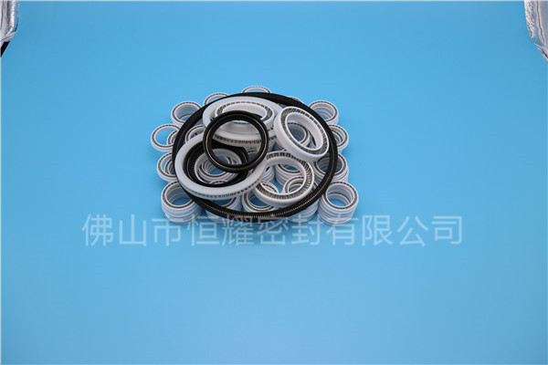 HOB、HVB孔用泛塞封 (7)