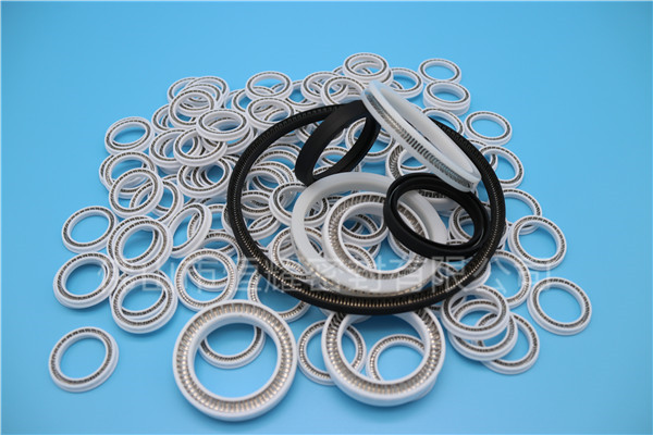 HOB、HVB孔用泛塞封 (12)