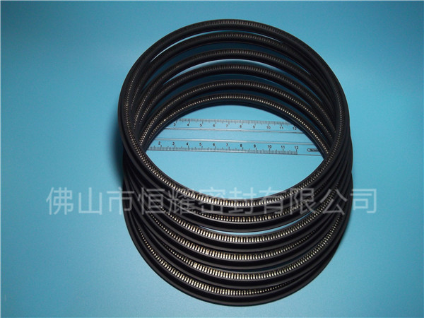 HOD、HVD旋轉(zhuǎn)泛塞封 (12)