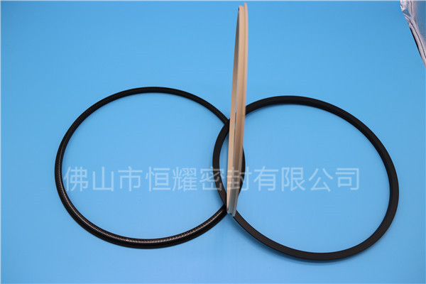 HOD、HVD旋轉泛塞封 (18)