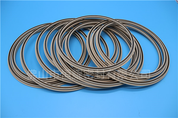 HOD、HVD旋轉(zhuǎn)泛塞封 (19)