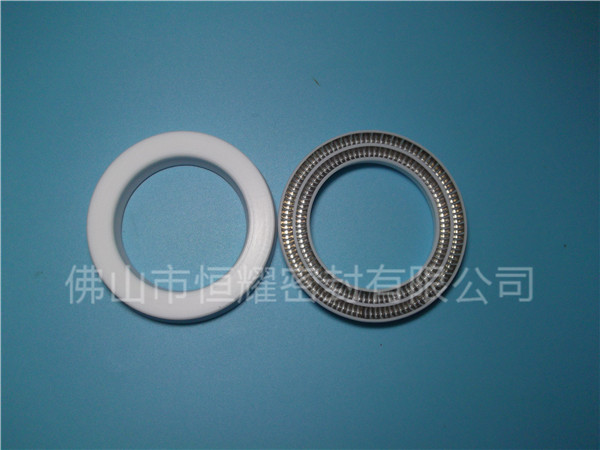 HOC、HVC孔軸兩用泛塞封 (16)