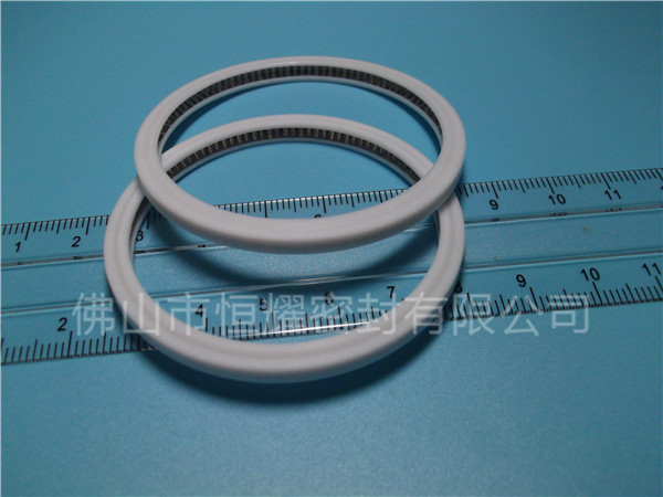 HVF、HVG端面內(nèi)、外向泛塞封 (4)