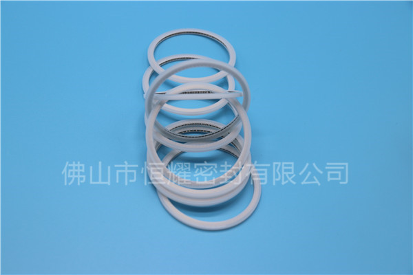 HVF、HVG端面內(nèi)、外向泛塞封 (15)