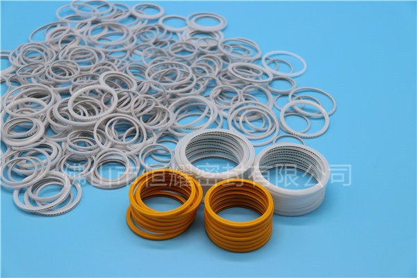 HVF、HVG端面內(nèi)、外向泛塞封 (17)