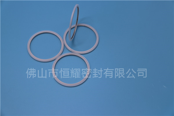 HVF、HVG端面內(nèi)、外向泛塞封 (20)