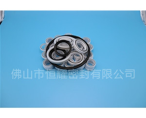 HOB、HVB孔用泛塞封 (7)