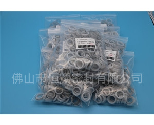 HOB、HVB孔用泛塞封 (17)