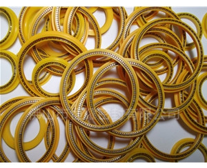 HOD、HVD旋轉(zhuǎn)泛塞封 (5)