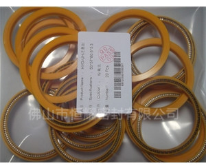 HOD、HVD旋轉(zhuǎn)泛塞封 (10)