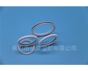 激光頭密封圈 (12)