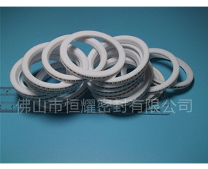 HVF、HVG端面內、外向泛塞封 (8)