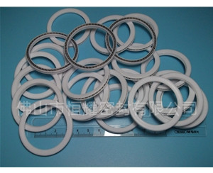 HVF、HVG端面內、外向泛塞封 (9)