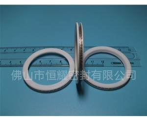 HVF、HVG端面內、外向泛塞封 (10)