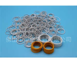 HVF、HVG端面內、外向泛塞封 (19)