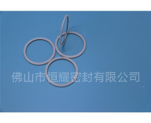 HVF、HVG端面內、外向泛塞封 (20)